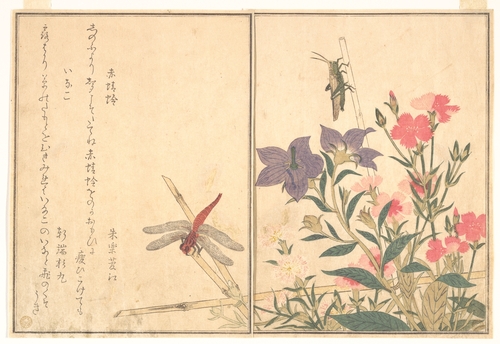 Dragonfly and Grasshopper